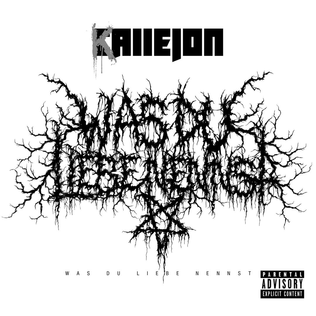 Gib Mir Mehr Von Dem Was Du Liebe Nennst Cover