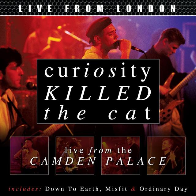 Down To Earth 12 Mix By Curiosity Killed The Cat Pandora